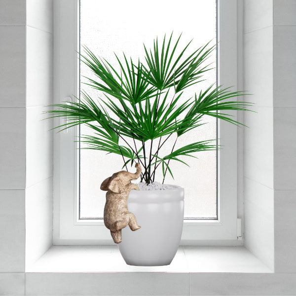 Elephant Plant Pot Ornament
