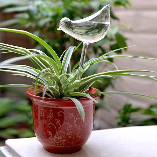 Self Watering Plant Spike