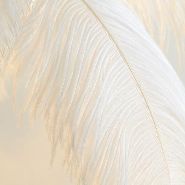 ostrich feather floor lamp australia