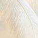 ostrich feather floor lamp australia