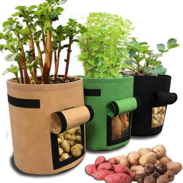 Plant Grow Bags