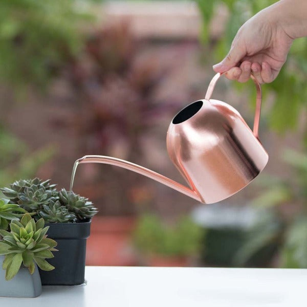 stainless steel watering can