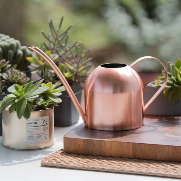 Indoor Plant Watering Can