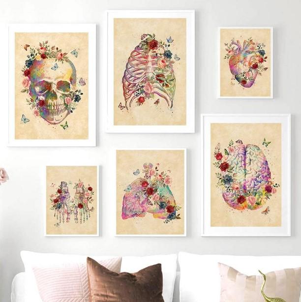 Anatomica Art Collection