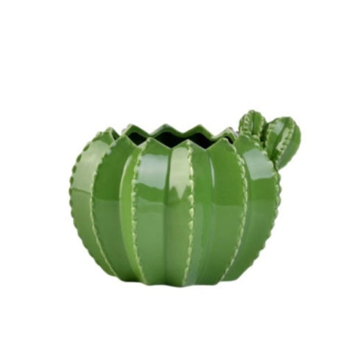 Cactus Planter