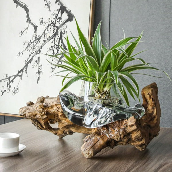 Hydroponic Driftwood Planter