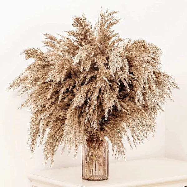 Pampas Grass Bouquet (20 Piece)