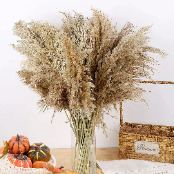 Pampas Grass Bouquet (20 Piece)