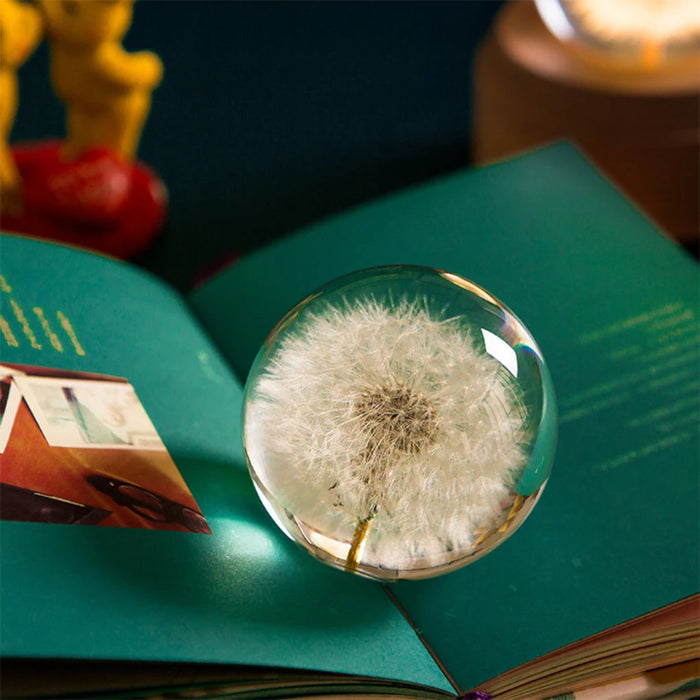 Dandelion Resin Ornament (Assorted Sizes)