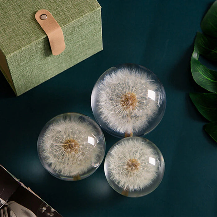 Dandelion Resin Ornament (Assorted Sizes)