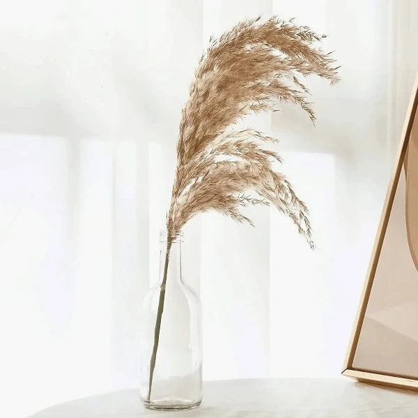 Pampas Grass Bouquet (20 Piece)