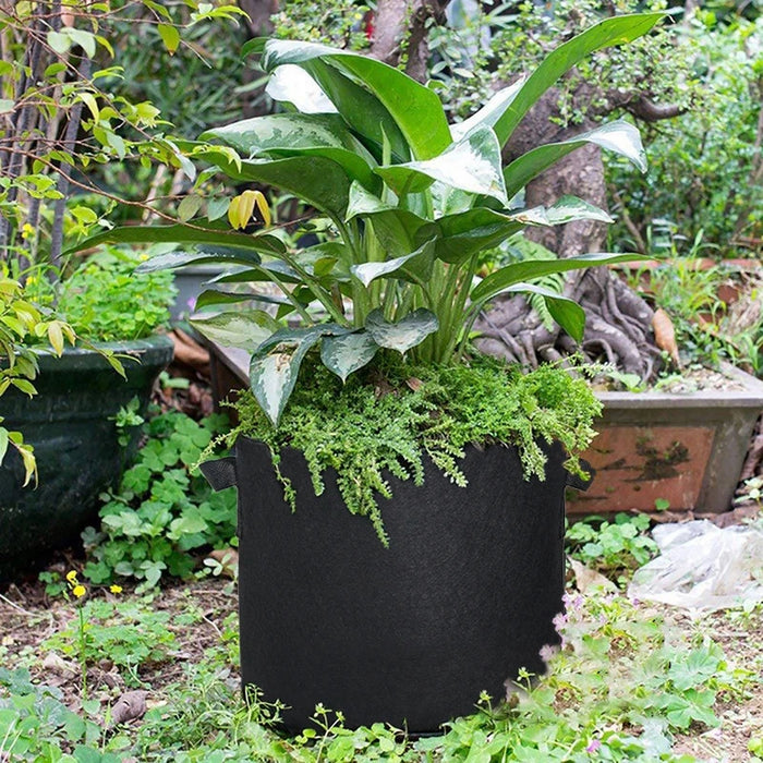 Plant Grow Bag (Set of 5 - Assorted Sizes)