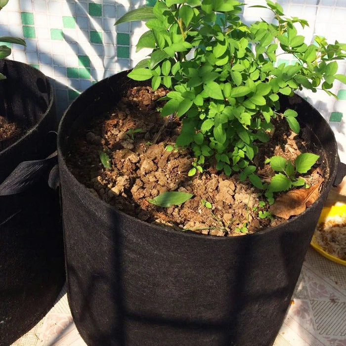 Plant Grow Bag (Set of 5 - Assorted Sizes)