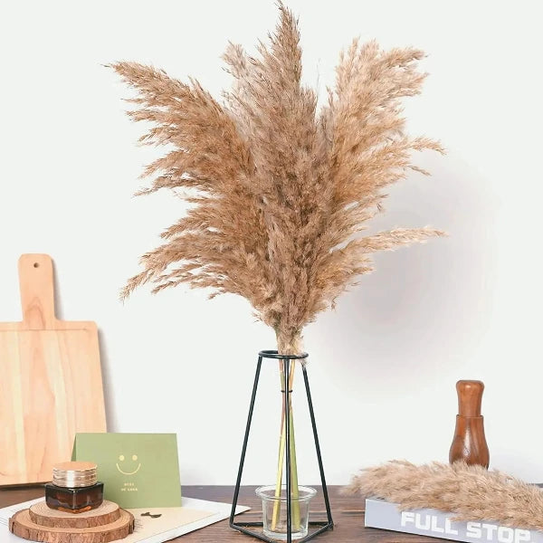 Pampas Grass Bouquet (20 Piece)