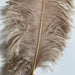 ostrich feather floor lamp