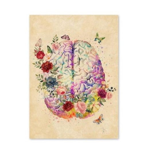 Anatomica Collection - Cerebrum - Human Brain