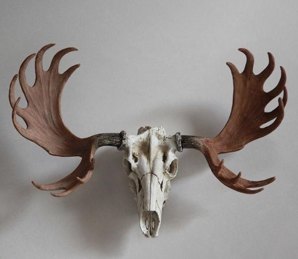 Resin Moose Skull Mount