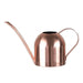 Rose Gold Watering Can