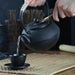 Japanese Cast Iron Tea Pot