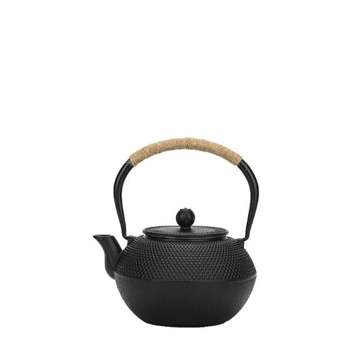 Japanese style cast iron tea pot with stainless steel infuser