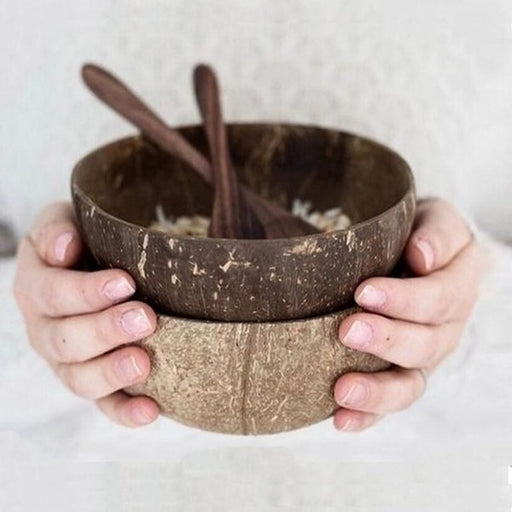 Natural Coconut Shell Bowl