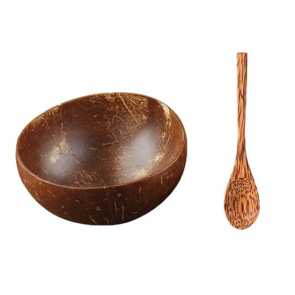 Natural Coconut Shell Bowl