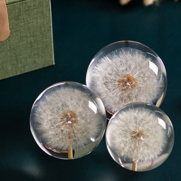 Real Dandelion Flower Resin Ball
